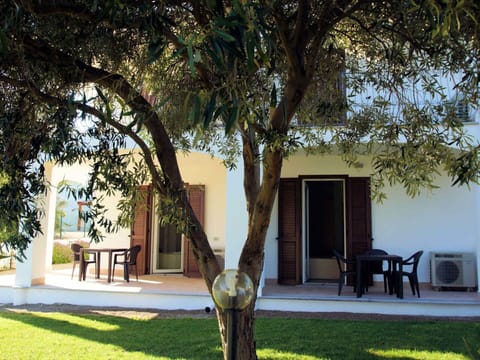 Plant, Property, Building, Leaf, Tree, Shade, Grass, Window, Leisure, Arecales