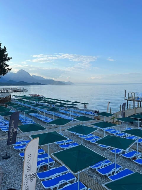Private beach nearby, black sand, free beach cabanas, sun loungers