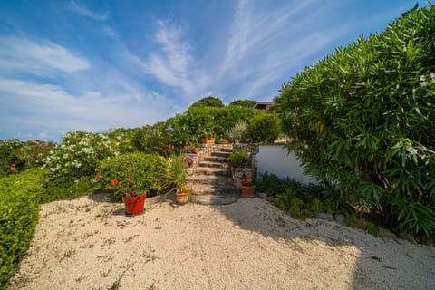Apartment | Property grounds