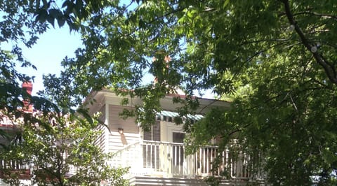 Secluded cottage nestled among trees
