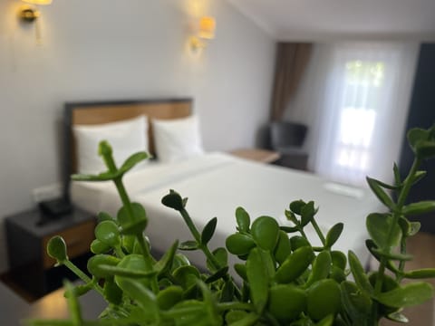 Luxury Room | Premium bedding, minibar, in-room safe, individually decorated