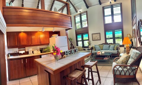 Dolphina Kitchen and Living Room