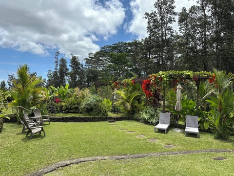 Guest house private Koi fish pond area.