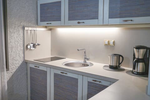 Luxury Apartment | Private kitchen | Mini-fridge, stovetop, coffee/tea maker, cookware/dishes/utensils