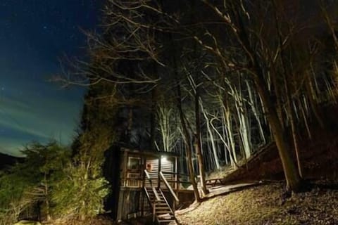 View From Driveway at Night