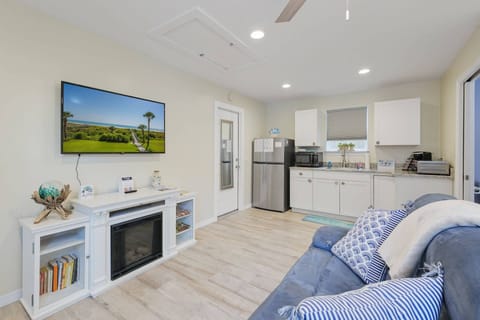 Smart TV and electric fireplace!