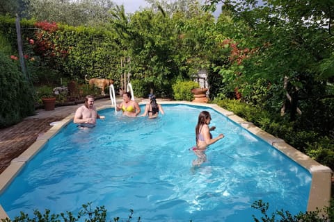 Holiday Home Swimming Pool