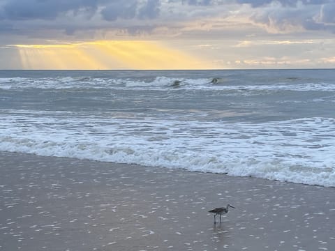 And this is what it’s all about… Gods Beauty at work