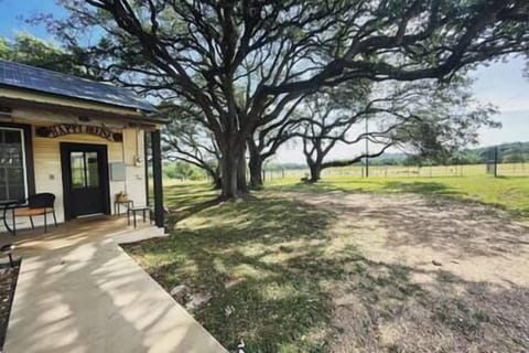 Historical Farmhouse nestled in mature Oak trees