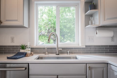 Kitchen sink and dishwasher