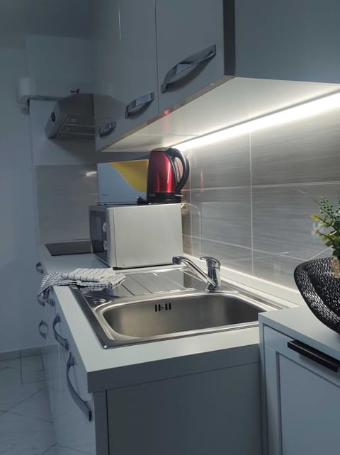 Apartment (One bedroom apartment) | Private kitchen | Fridge