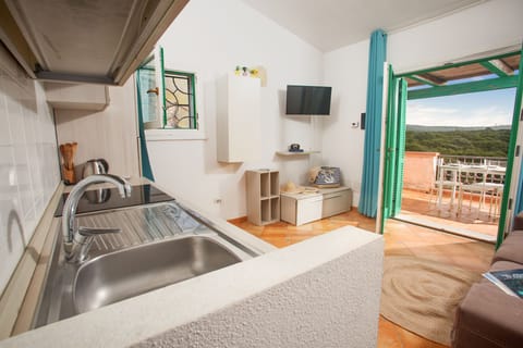 Kitchen or kitchenette,Living room