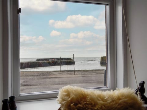 View | Harbour View, Johnshaven, near Stonehaven