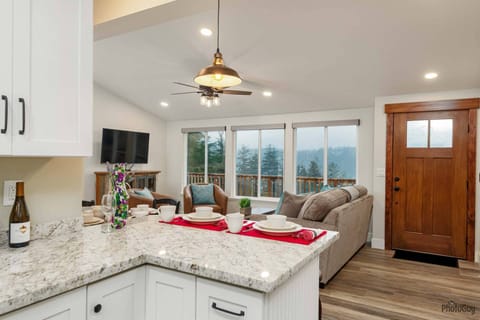 Kitchen / Island Seating