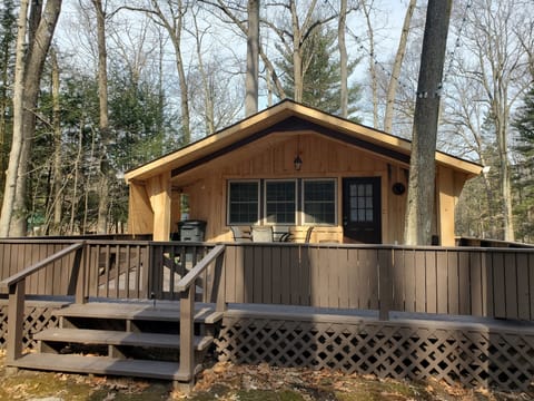 Cozy Cabin
