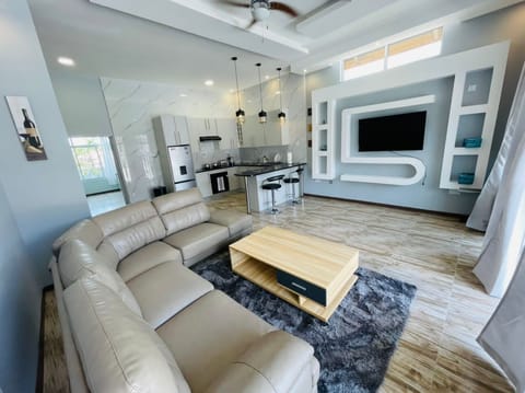 Living room and kitchen 