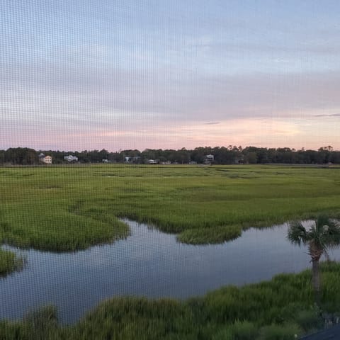 sunset over the march