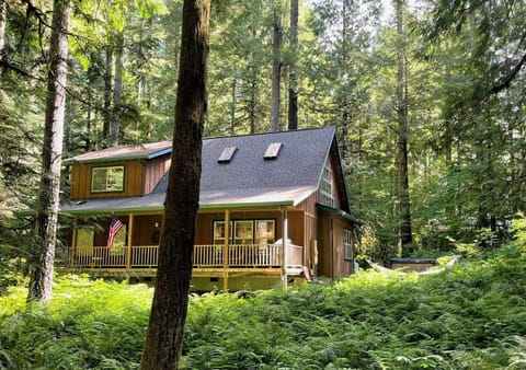 Cascade Cabin's stunning 360 degrees of surrounding greenery.