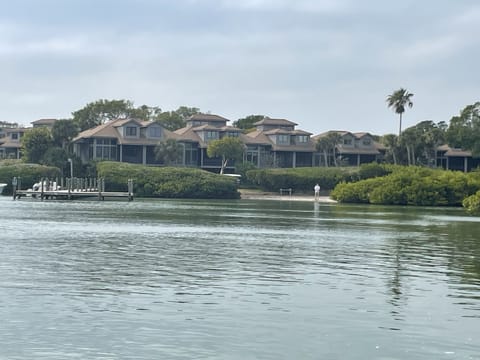 Villa is to the left of big palm