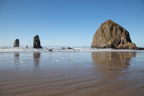Walk to the ocean -only one block away