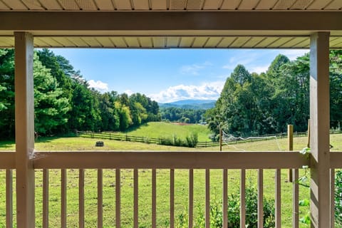 Views from the deck