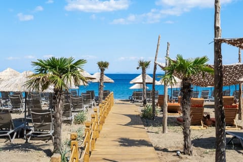 Private beach, sun loungers, beach umbrellas, beach bar