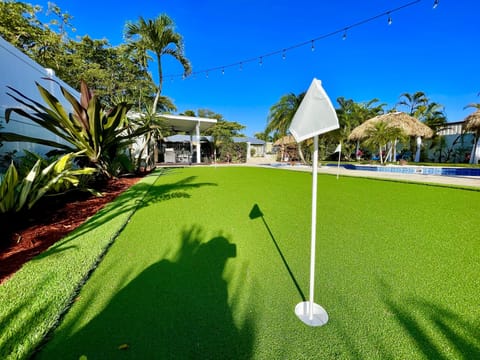 Hole 3 on 1,000 sq ft Miniature Golf.