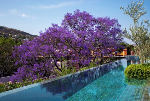 Outdoor pool, free cabanas