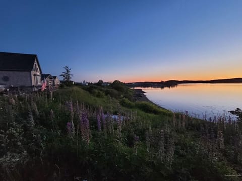 View of Halibut House at sunset. Lupines popping on the bank=peace on earth.