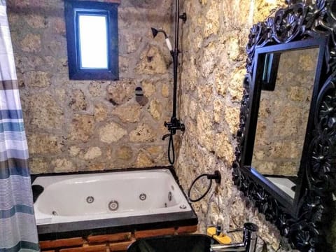 Standard Double Room | Bathroom | Combined shower/tub, jetted tub, hydromassage showerhead, towels