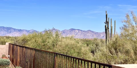 View of the Catalina mountains and part of Preserve from patio