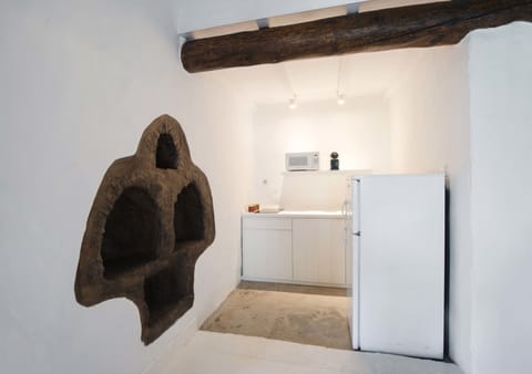 Fridge, microwave, stovetop, espresso maker