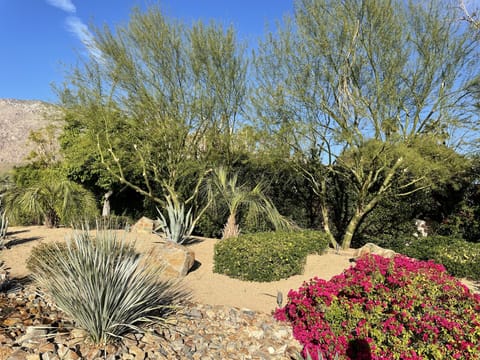 Incredible Landscaping Throughout the Property!