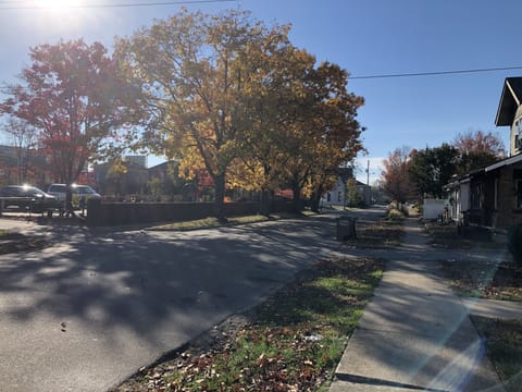 Looking out the Front Porch