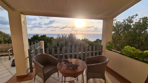 a36258e8-9da6-48fe-998e-d113bf0a7b7f