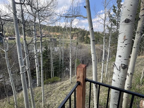 BunkHouse View from Deck