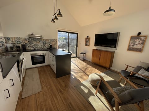 Cabin open plan living area