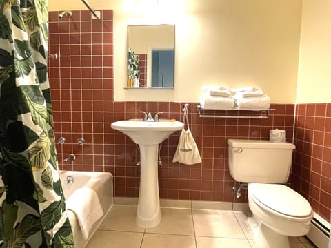 Combined shower/tub, hair dryer, towels