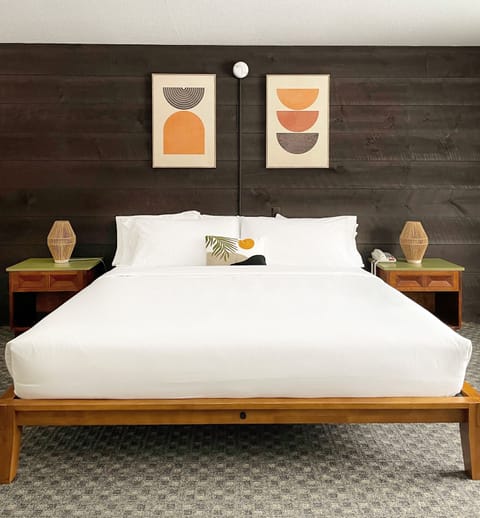 Room, 1 King Bed | Desk, free WiFi, bed sheets