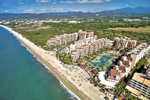Drone View