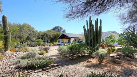 very unique property with your own private desert Oasis