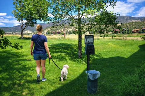 Pet Friendly- Dog bags and trash cans along the condos.