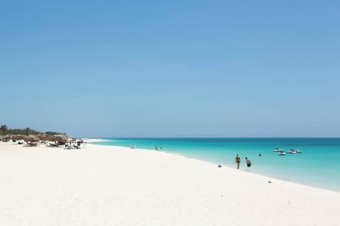 Condo, 1 Bedroom, Balcony, Ocean View | Beach