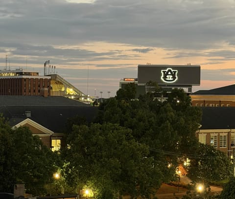 Stadium from Balcony
