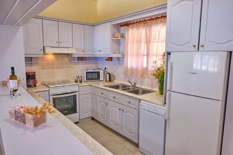 Villa Christine Afionas Corfu Kitchen