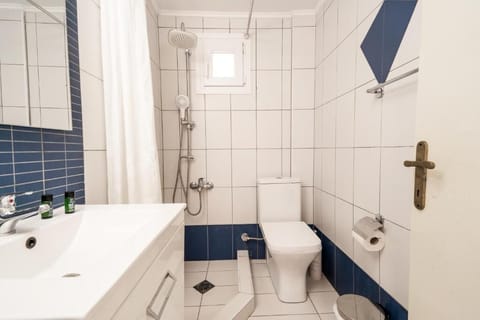 Hair dryer, towels, toilet paper