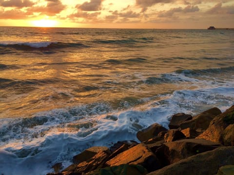 This is an actual photo taken by me while walking on Oceanside's famous Strand.