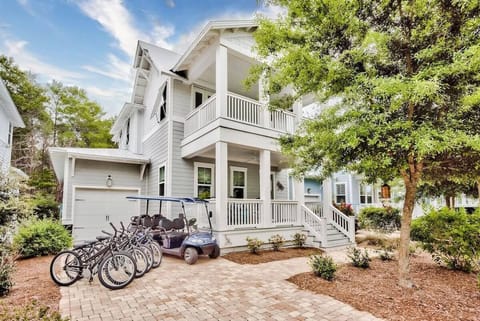 Welcome to Dragon Fly's Nest!