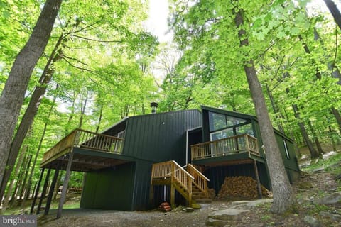 Aerie feels like a treehouse as it's nestled among tall trees on the side of the mountain. Behind Aerie is State Park land. Hike the marked trails and if you're more adventurous, hike to the top!