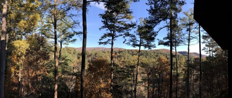 View from the porch in the fall